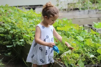 Educação Ambiental Ganha Destaque nas Escolas em 2025