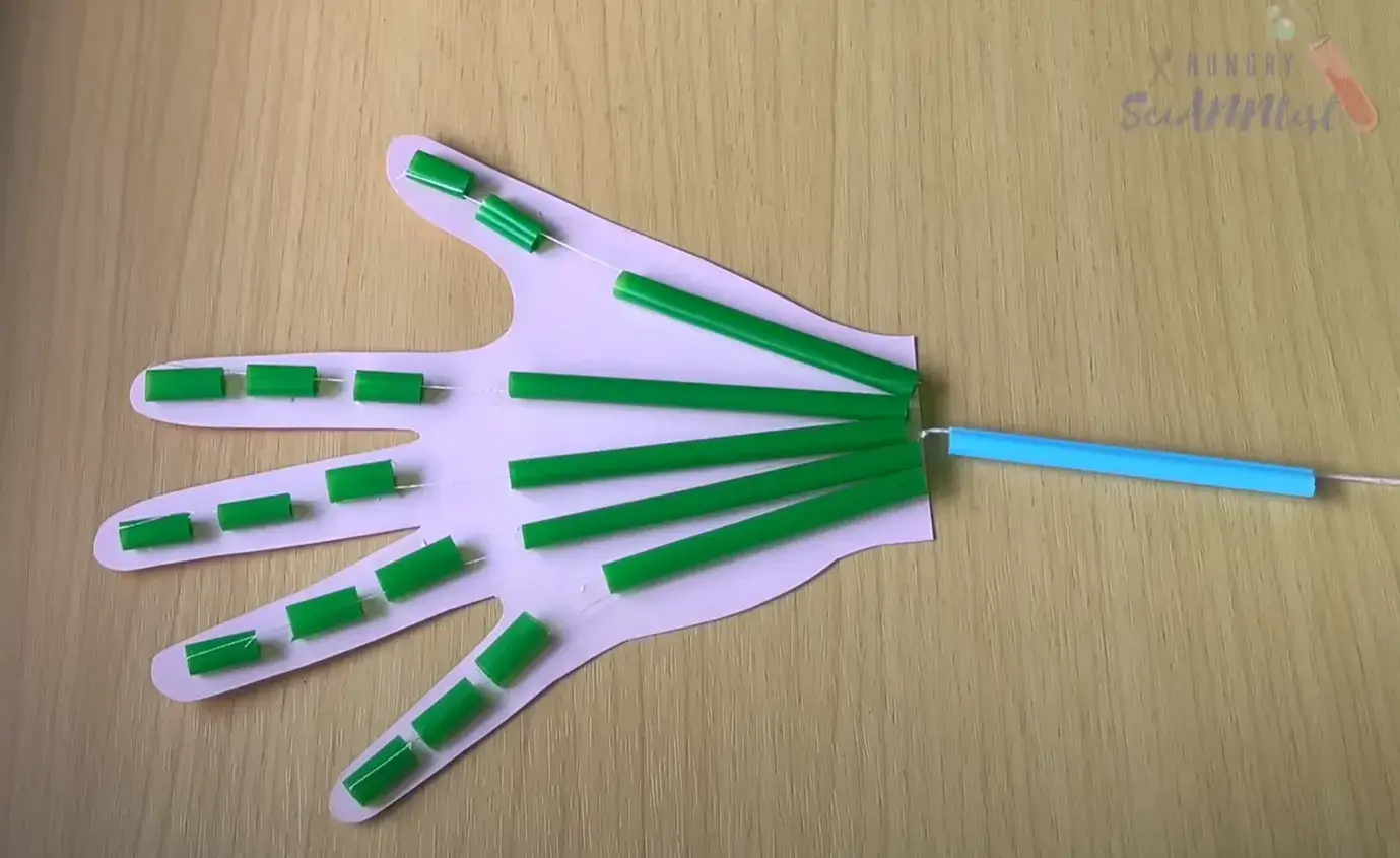 Projeto de Ciências: Mão Robótica de Papel Simples para Crianças [vídeo]