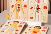 Achadinho da Semana: Quebra-Cabeça de Madeira Montessori do Corpo Humano